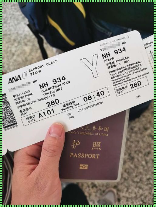 大兴机场到东京机票：一场充满波折的探索之旅