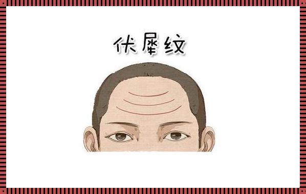 额头上纹路代表什么：人生历程的印记与自我表达