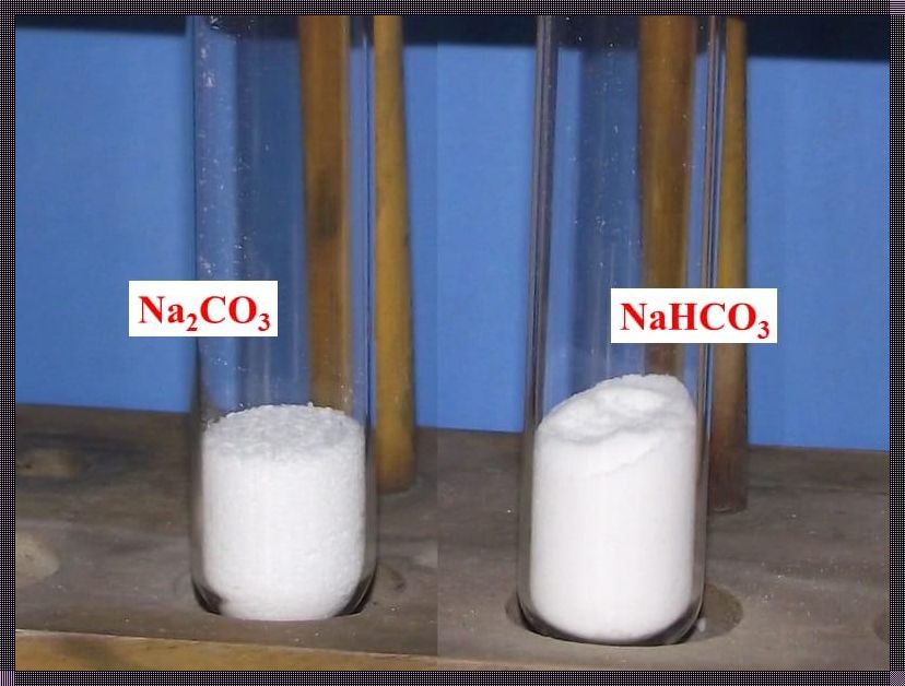 揭示神秘面纱：精准鉴别碳酸钠和碳酸氢钠固体的技巧