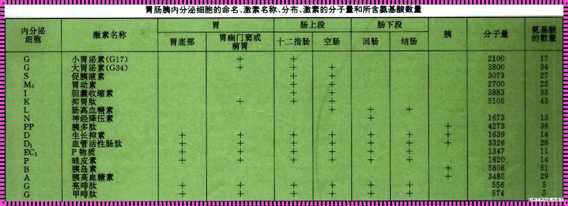 促胰液素为什么抑制胃酸释放——揭秘消化系统的神秘平衡