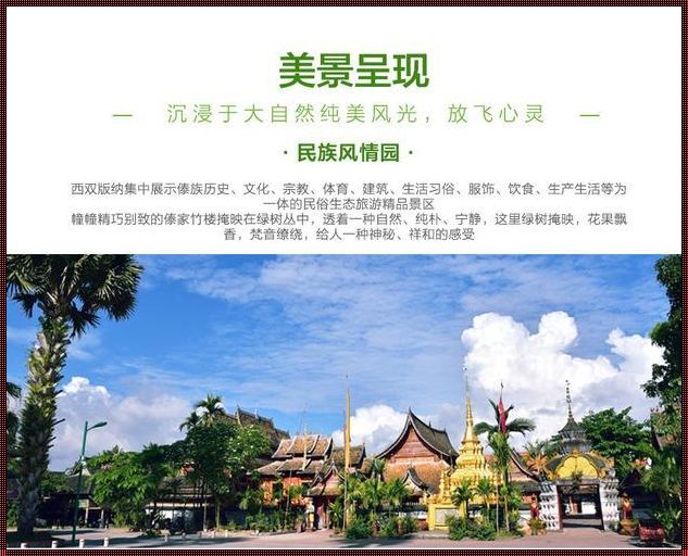 西双版纳团纯玩团报价揭秘，与挚友共享旅途美好时光