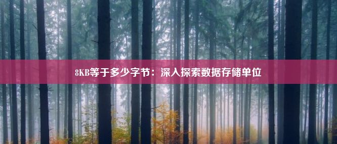 8KB等于多少字节：深入探索数据存储单位