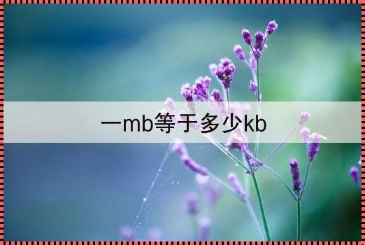 《一K的神秘之旅——从航空公司职员视角揭秘》