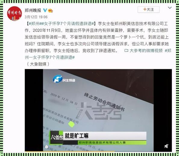 孕妇申请停薪留职被拒绝：社会的冷漠与个人的坚韧