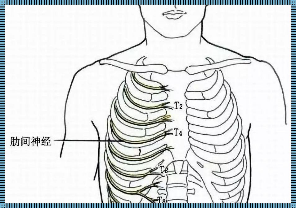 胸下肋骨疼是怎么回事？