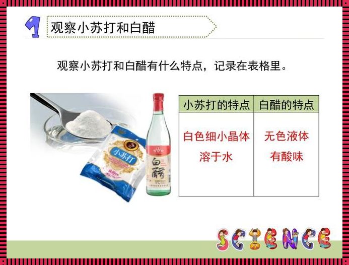 醋和小苏打能一起打黄瓜叶吗——探寻绿色生活的奥秘