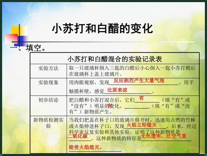 小苏打加白醋的原理化学：一场大众点评的盛宴