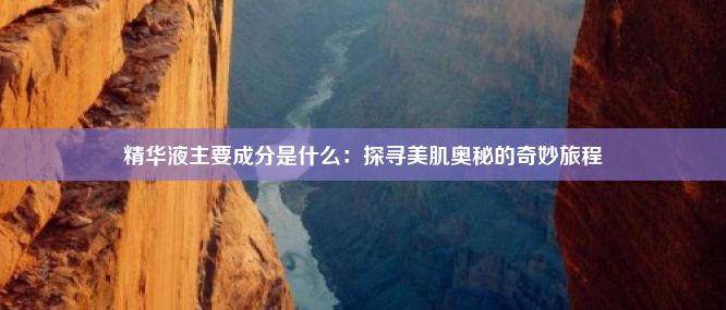 精华液主要成分是什么：探寻美肌奥秘的奇妙旅程