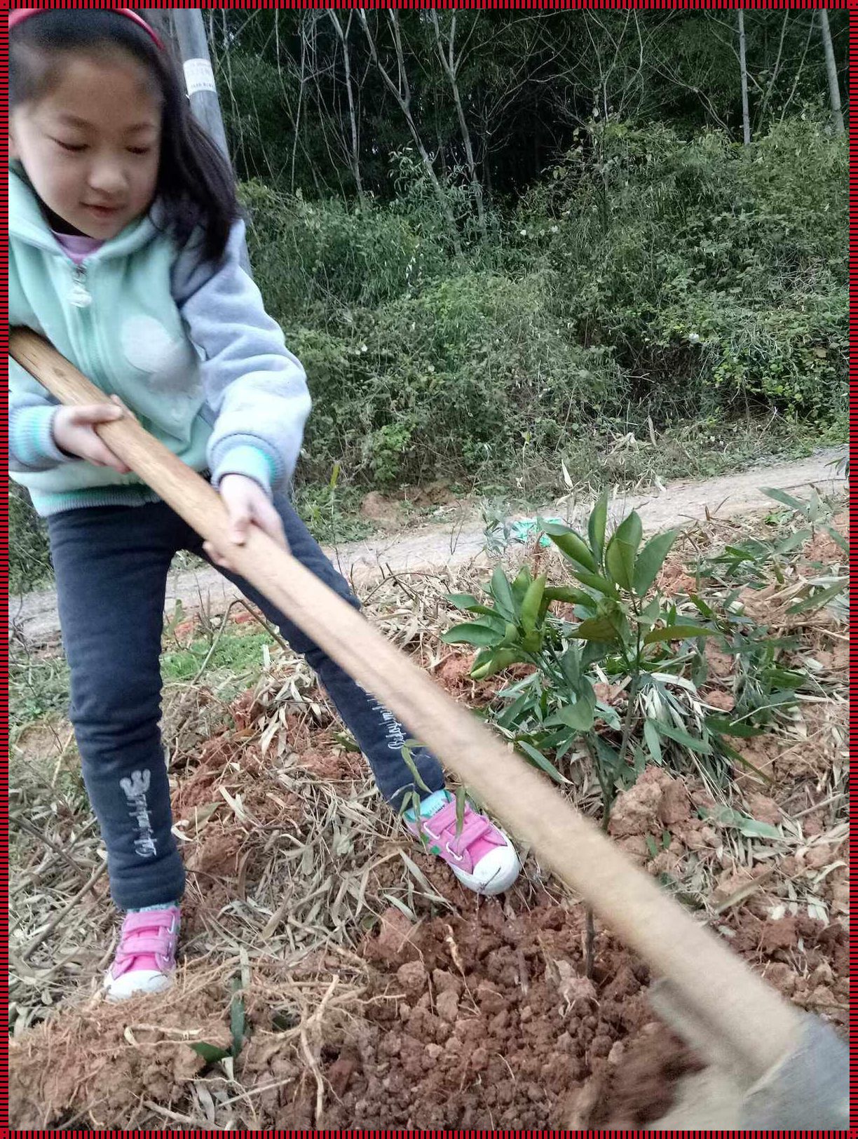 小学生简单的生产劳动：从小培养勤劳的品格