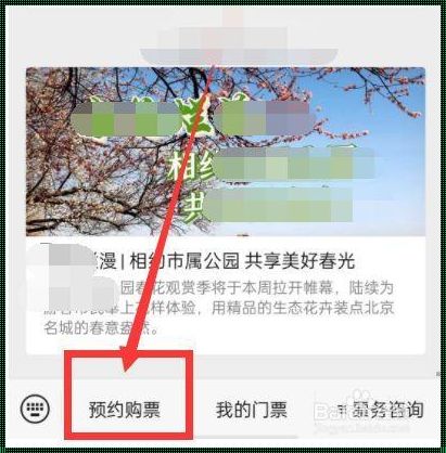 玉渊潭公园门票预约公众号：惊现的便捷之门