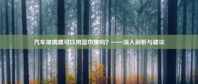 汽车玻璃膜可以用湿巾擦吗？——深入剖析与建议