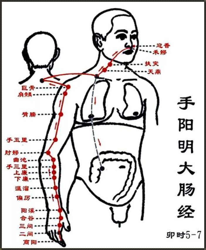 胃经堵了的表现：一场身体的发布会