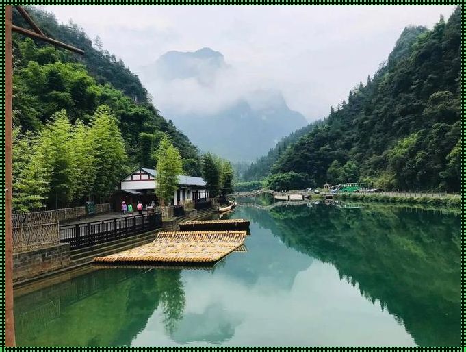 三峡竹海风景区：探寻自然之美的乐趣所在