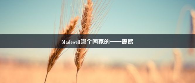 Madewell哪个国家的——震撼