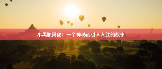 小黑瓶揭秘：一个神秘而引人入胜的故事