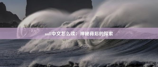 null中文怎么读：神秘背后的探索