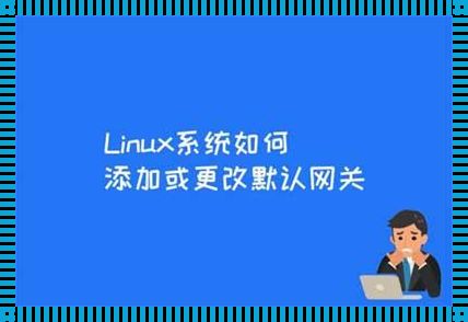 默认网关可以随意改么？一场关乎网络探索的培训之旅