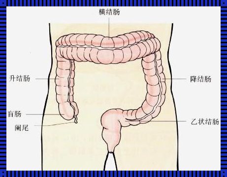 结肠炎是哪个部位疼？