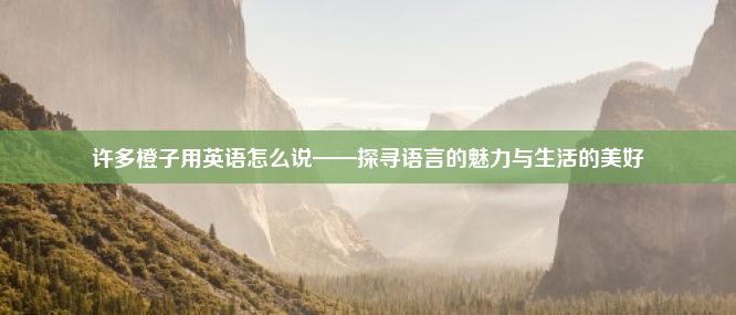 许多橙子用英语怎么说——探寻语言的魅力与生活的美好