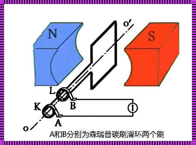 揭开矢量图的神秘面纱：原理讲解与应用