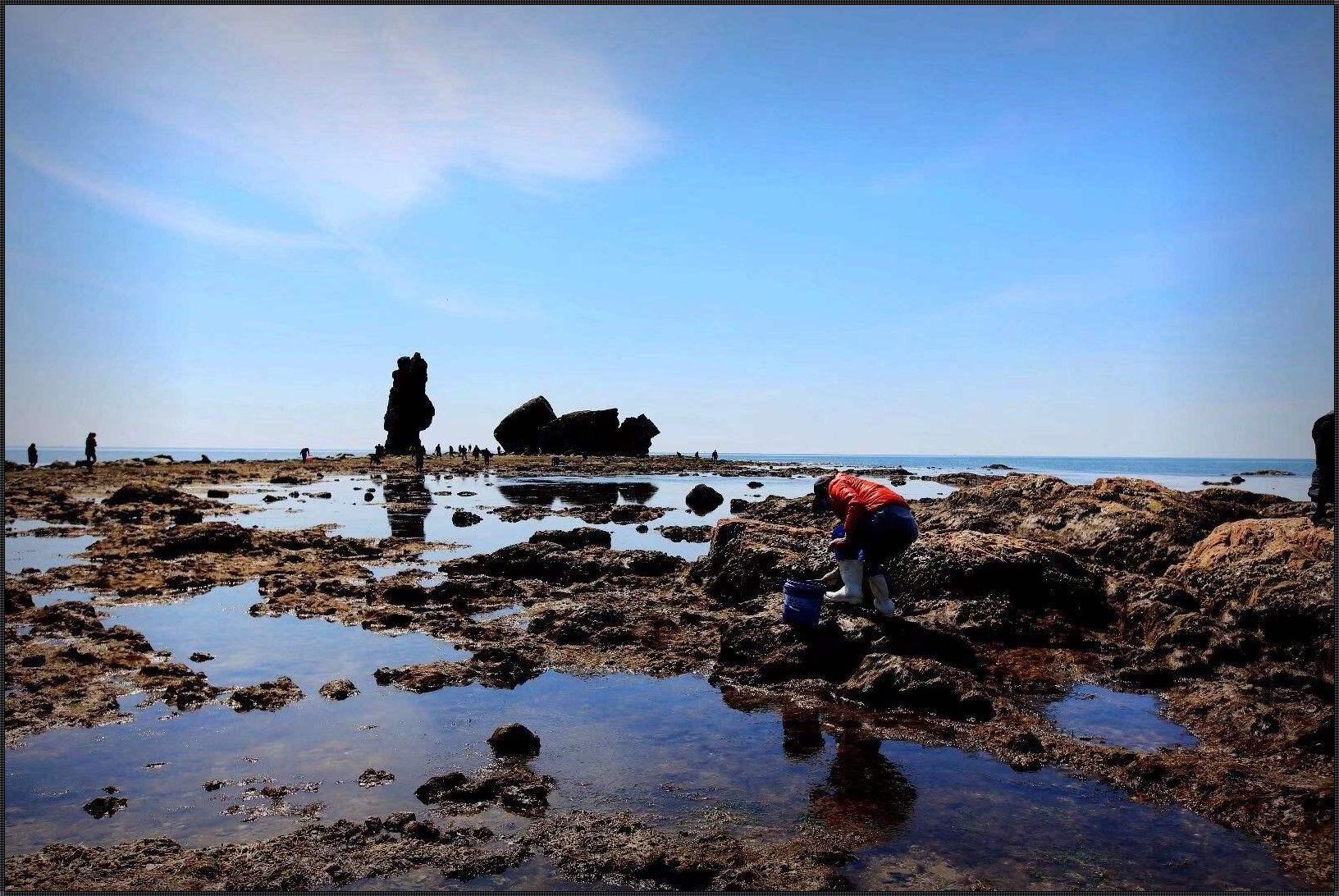 绥中止锚湾赶海时间：一场与博朗的邂逅