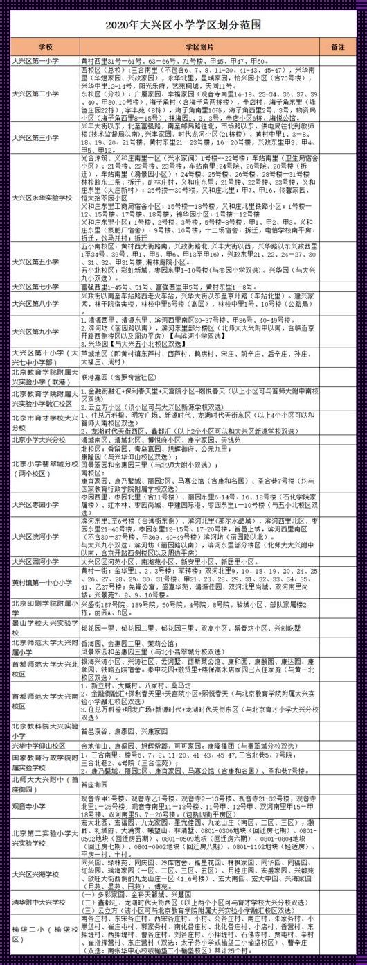 一键入学，温暖童行——大兴区小学入学服务系统分享之旅