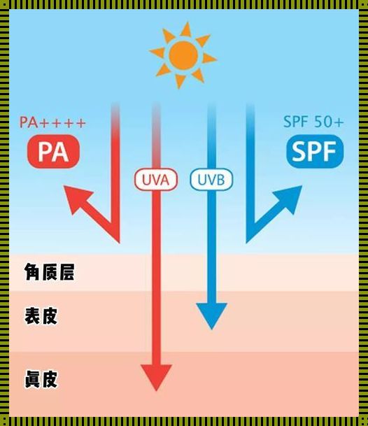 防晒作用和原理：守护美丽的秘密武器