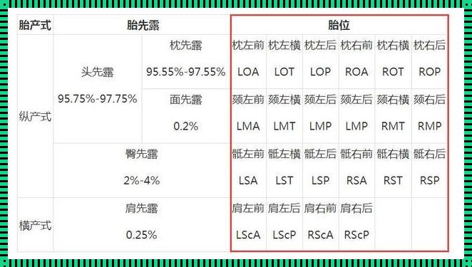 LOA胎位：性别概率的奥秘