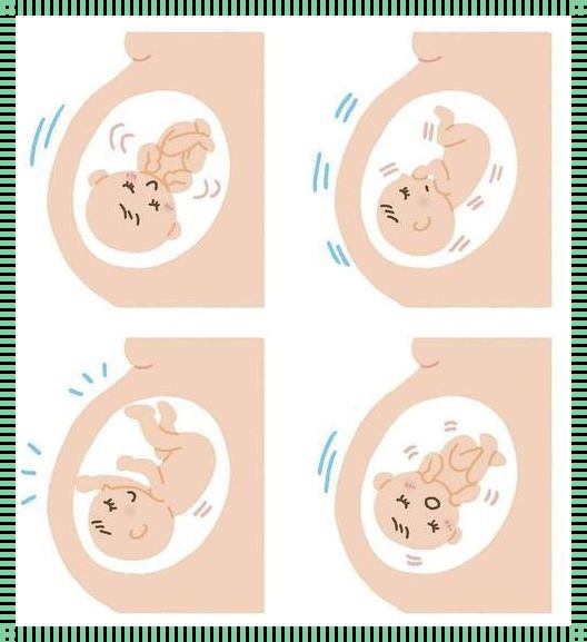 28周数胎动一小时9次正常吗？深入了解孕期胎动的奥秘