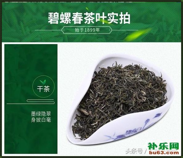 探寻绿茶世界的瑰宝：中国十大名牌绿茶