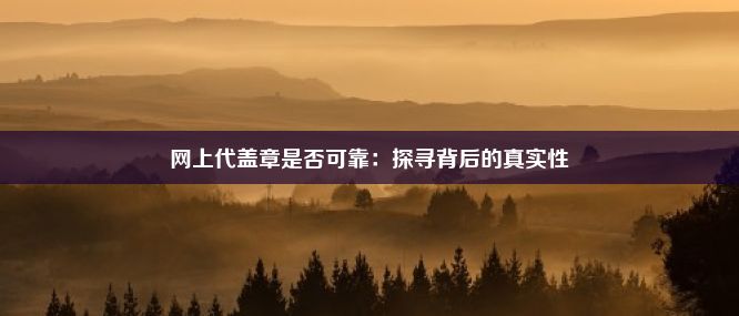 网上代盖章是否可靠：探寻背后的真实性