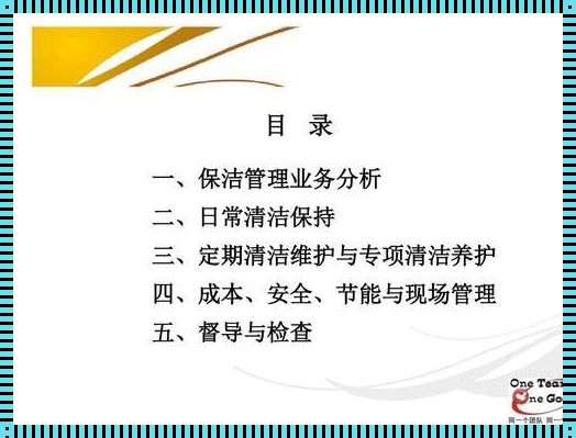 保洁安全防范意识及措施：守护清洁，安全第一