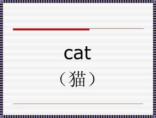 探究猫的英语单词拼写：从人到兽的视角