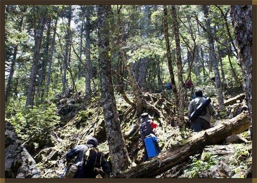 神农架：重兵守护的神秘之地