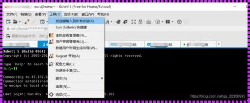 探究Xshell与SSH的区别：实用工具的对比分析