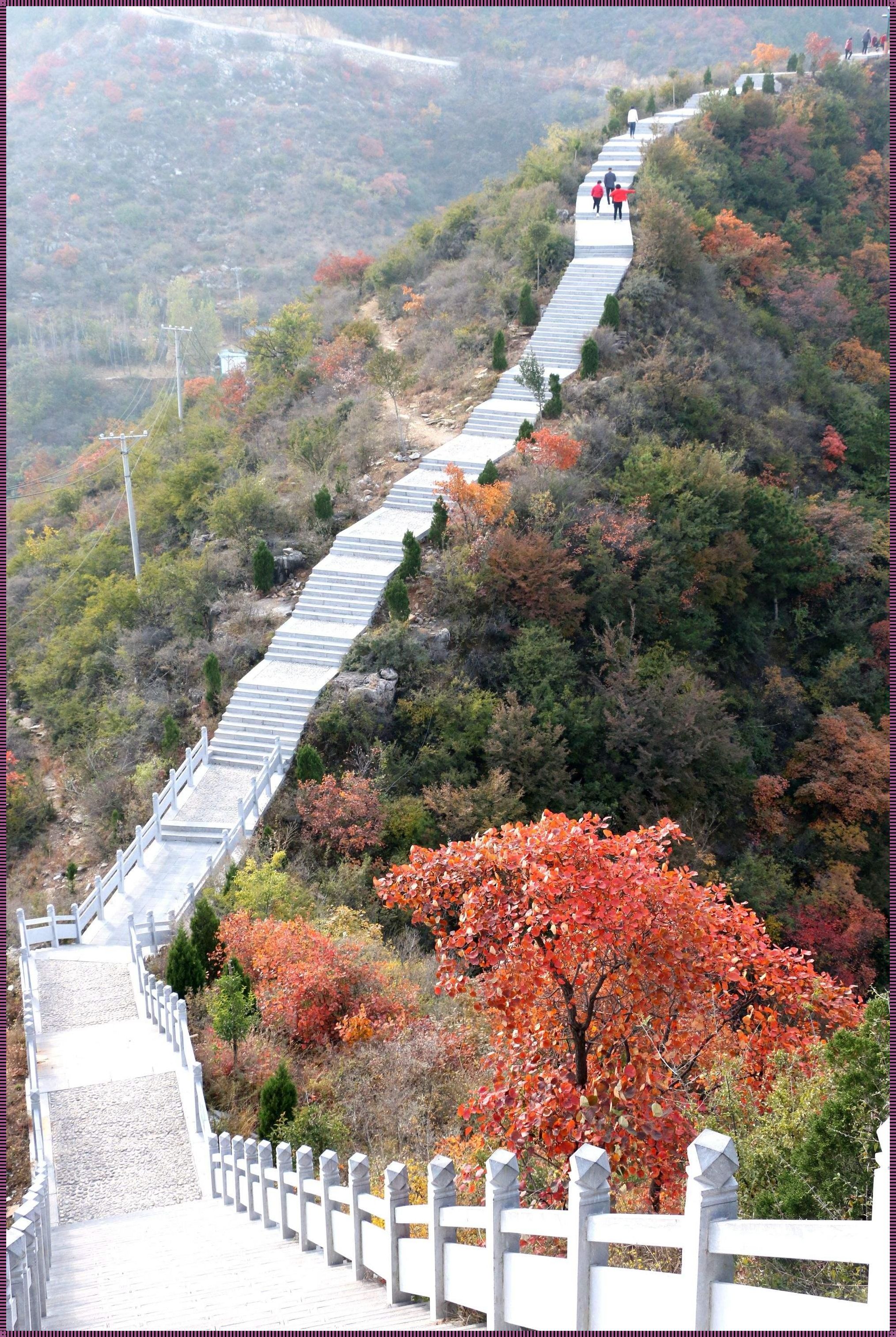 龙卧岩景区：探寻自然与历史的交融