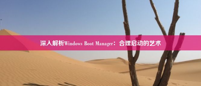 深入解析Windows Boot Manager：合理启动的艺术