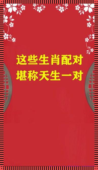 天生一对打一准确生肖：深度解析