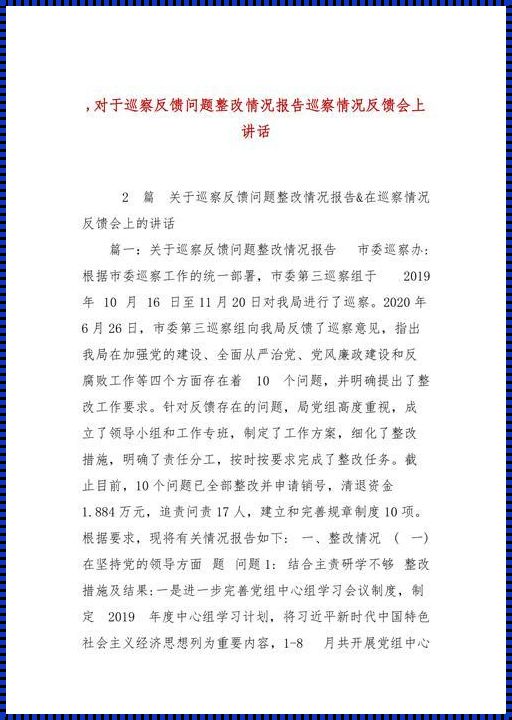 督察整改表态发言稿：正视问题，坚决整改