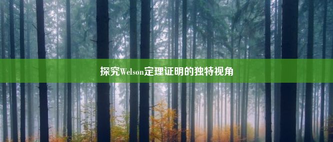 探究Welson定理证明的独特视角