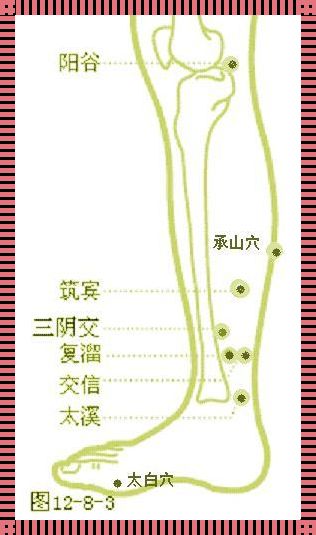 揭秘复溜太溪按摩顺序视频：让你的身心焕然一新