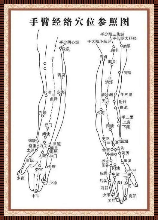 手背上的经络图解：探寻人体智慧的轨迹