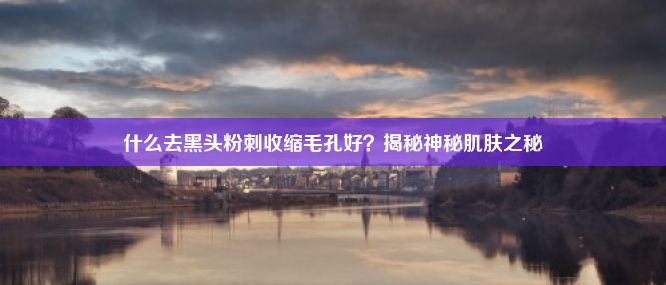 什么去黑头粉刺收缩毛孔好？揭秘神秘肌肤之秘