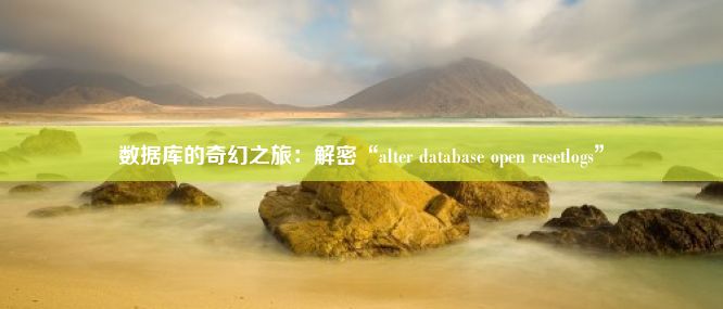 数据库的奇幻之旅：解密“alter database open resetlogs”