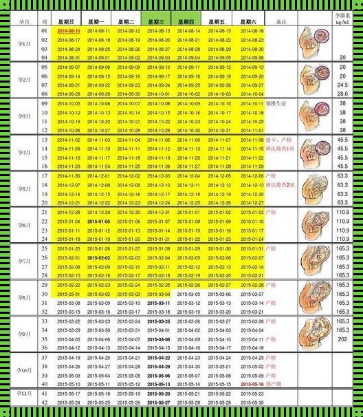 胎儿周数与标准数值对照表：揭秘胎儿成长之旅