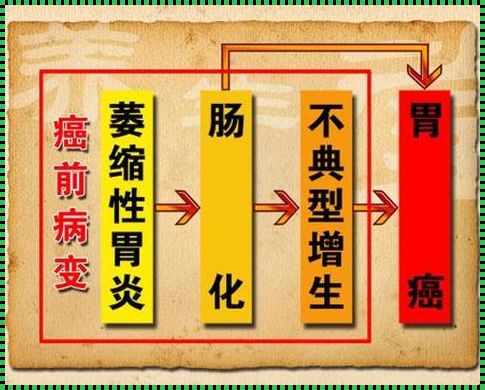 探究萎缩性胃炎的发病原因：胃的悄然哀歌