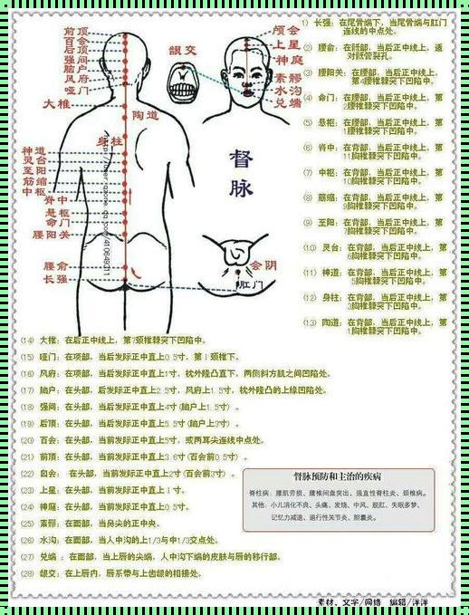 督脉歌诀必背：探索人体神秘的主脉