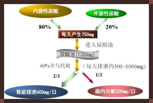 尿酸有传染性吗？揭秘尿酸的本质