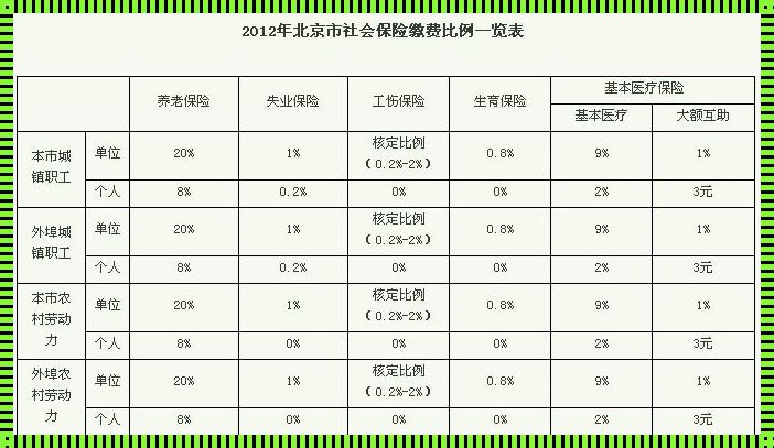 社保是不是等于五险：一次揭秘之旅