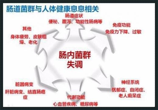 肠道菌群失调不治疗能否自愈：探究与分析